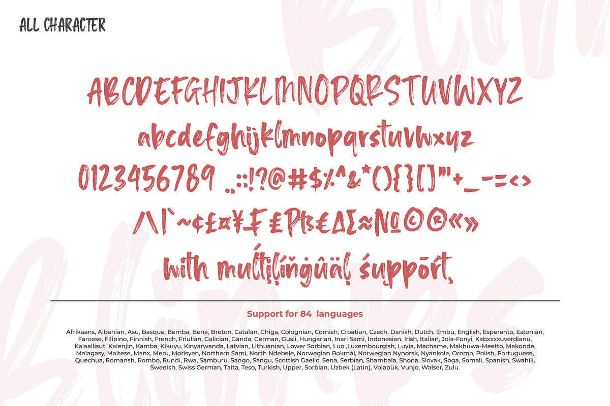 Blimps, a Script Font by din-studio.com (Photo 9 of 10)