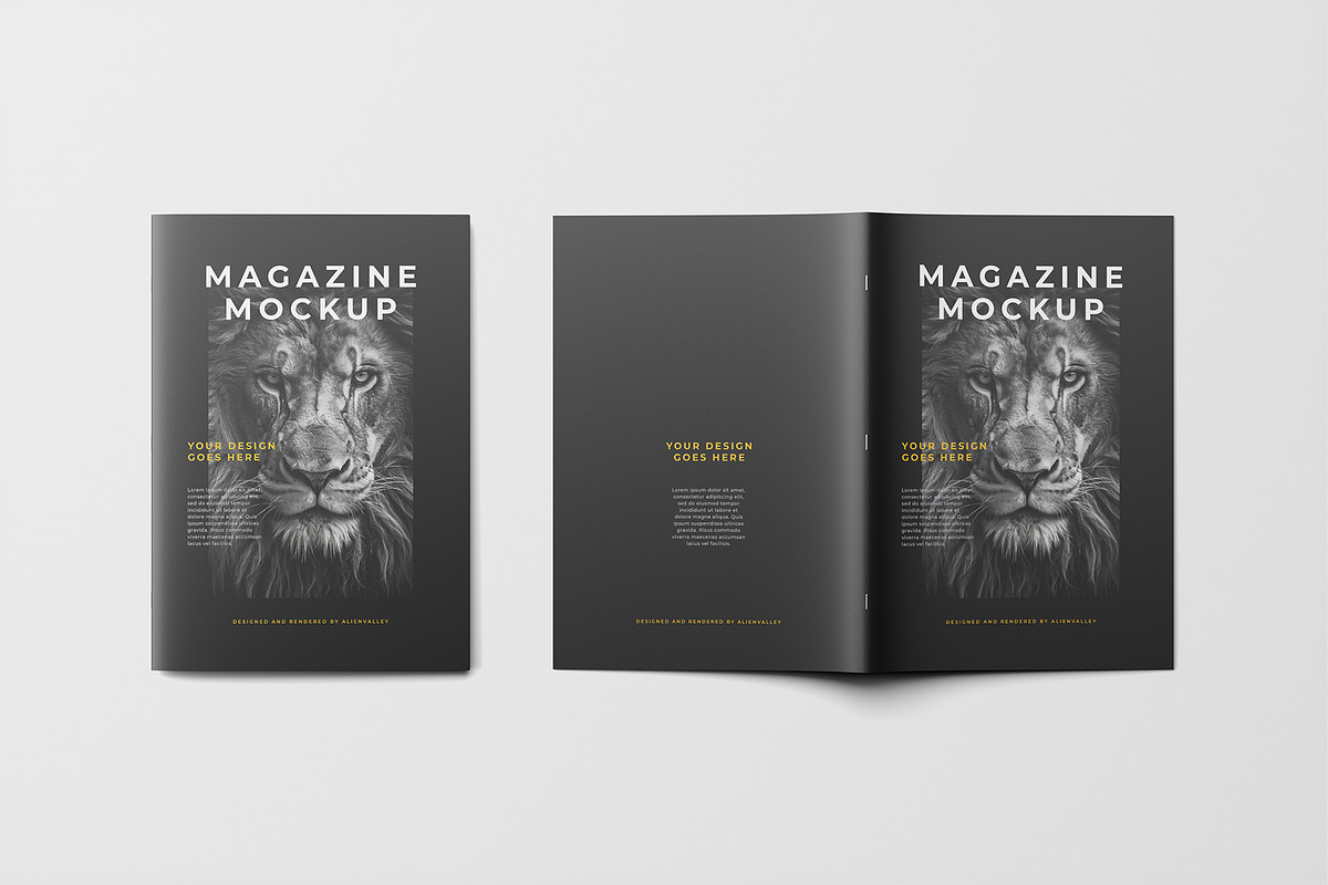 Magazine Mockup, a Books & Magazine Mockup by AlienValley (Photo 6 of 9)