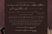 Skalinyas, a Script Font by operatype.co (Thumbnail 14 of 15)