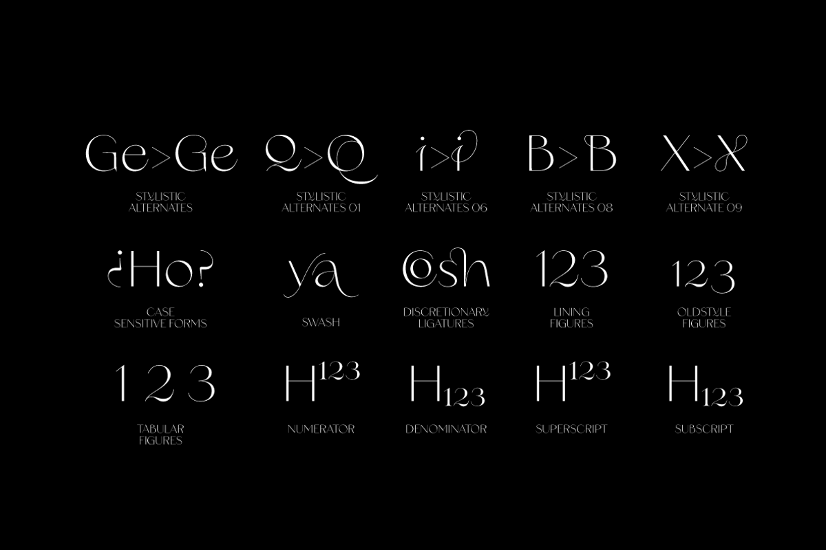 Erotique Sans - 10 fonts, a Sans Serif Font by Zetafonts (Photo 18 of 18)