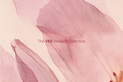 VEIL Flowers Collection, a Background Graphic by nkate (Thumbnail 13 of 13)