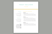 4 Page Resume Template | Word and In, a Resume Template by Scribbled Napkin Design (Thumbnail 3 of 5)