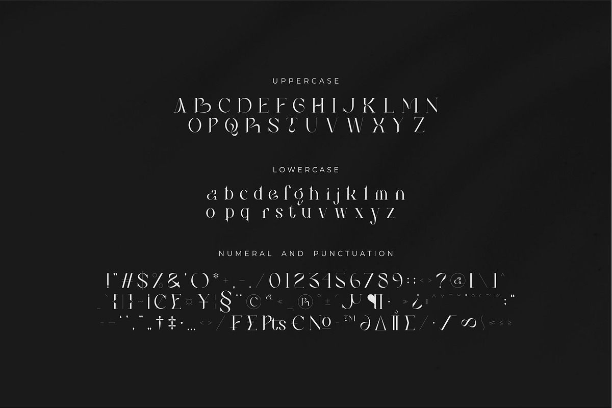 Bilea - Unique Brilliant Font, a Serif Font by suhadidesign (Photo 14 of 14)