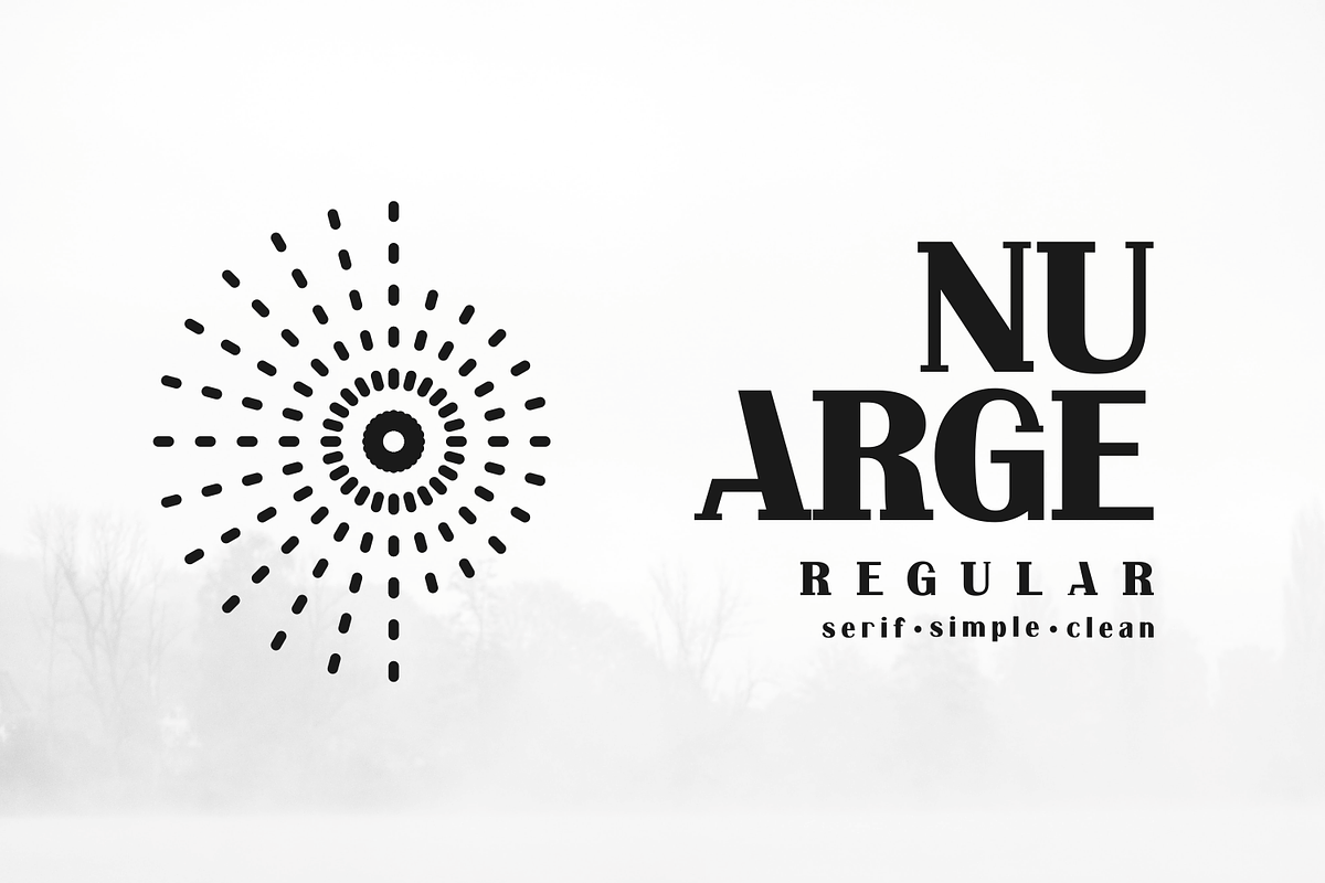 Nu Arge, a Serif Font by lelevien (Photo 2 of 5)