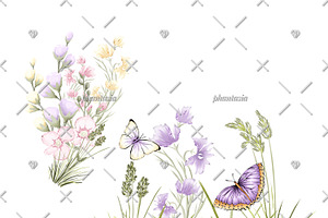 Butterflies Watercolor Cliparts