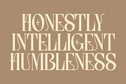 Lettertype a Stunning Display Serif, a Serif Font by Lettertype Studio (Thumbnail 13 of 20)