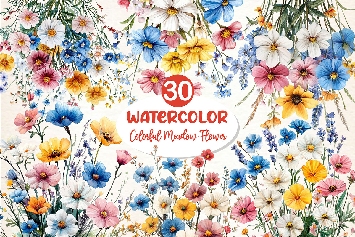 Colorful Meadow Flower Clipart Png, an Illustration by Dream Creation (Photo 1 of 6)
