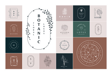 50 Botanical Floral Logos, a Branding & Logo Template by Graphicdome