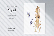 Watercolor Squid Life Cycle Set, an Education Illustration by MayaNavits (Thumbnail 7 of 8)