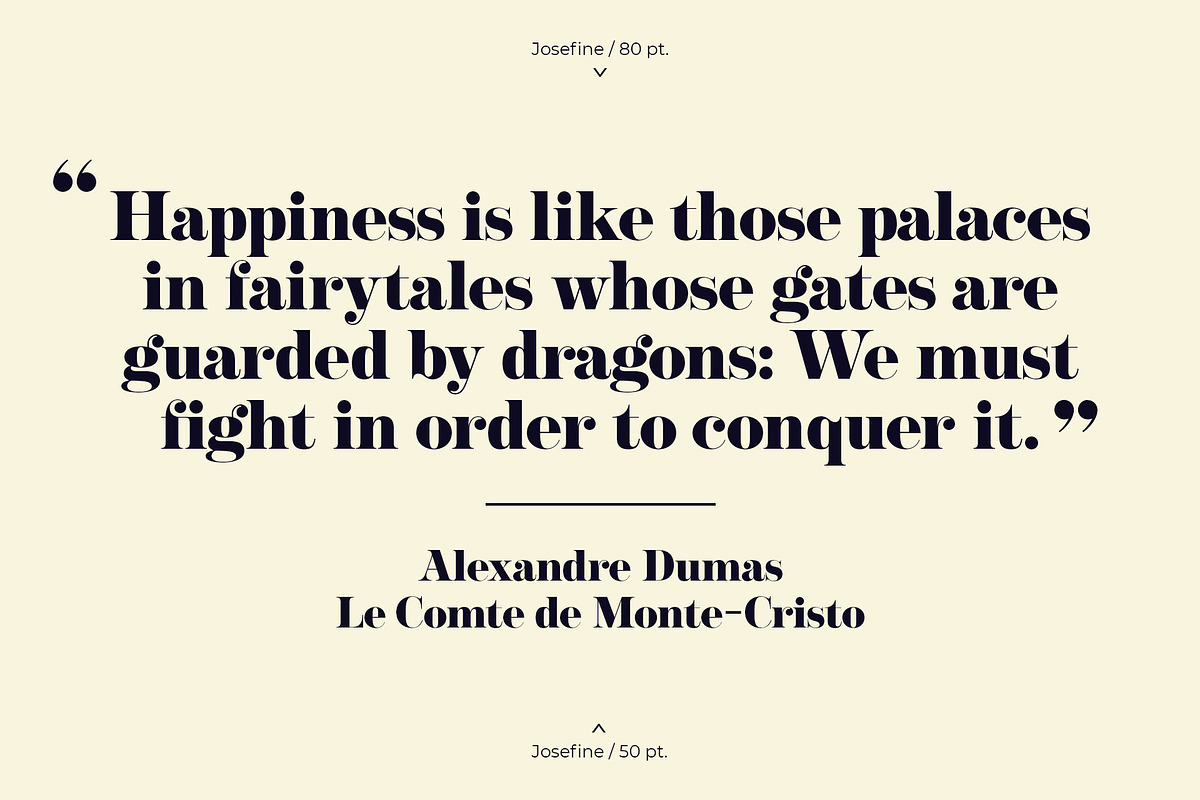 NT Josefine, a Serif Font by nevsky.type (Photo 12 of 15)