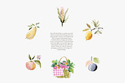 orchard watercolor clipart set, a Decorative Illustration by Patishop Art (Thumbnail 3 of 9)