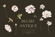 -20% Blush Antique Floral collection, an Illustration by Grace Noboa Illustrations (Thumbnail 3 of 8)