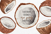 Tropical Clipart - Hand painted, a Decorative Illustration by MaraquelaStudio (Thumbnail 3 of 8)