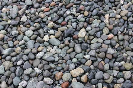 Victoria Bc Beach preview 6