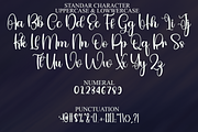 Special Glamour, a Handwritten Font by FreshTypeINK (Thumbnail 8 of 8)