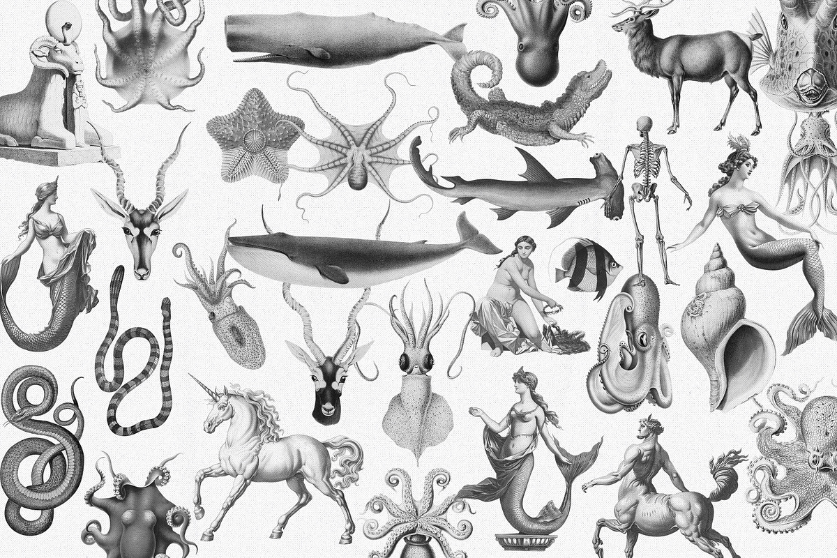 Fantastique Vector Archives, an Object Graphic by CarmineType (Photo 14 of 14)