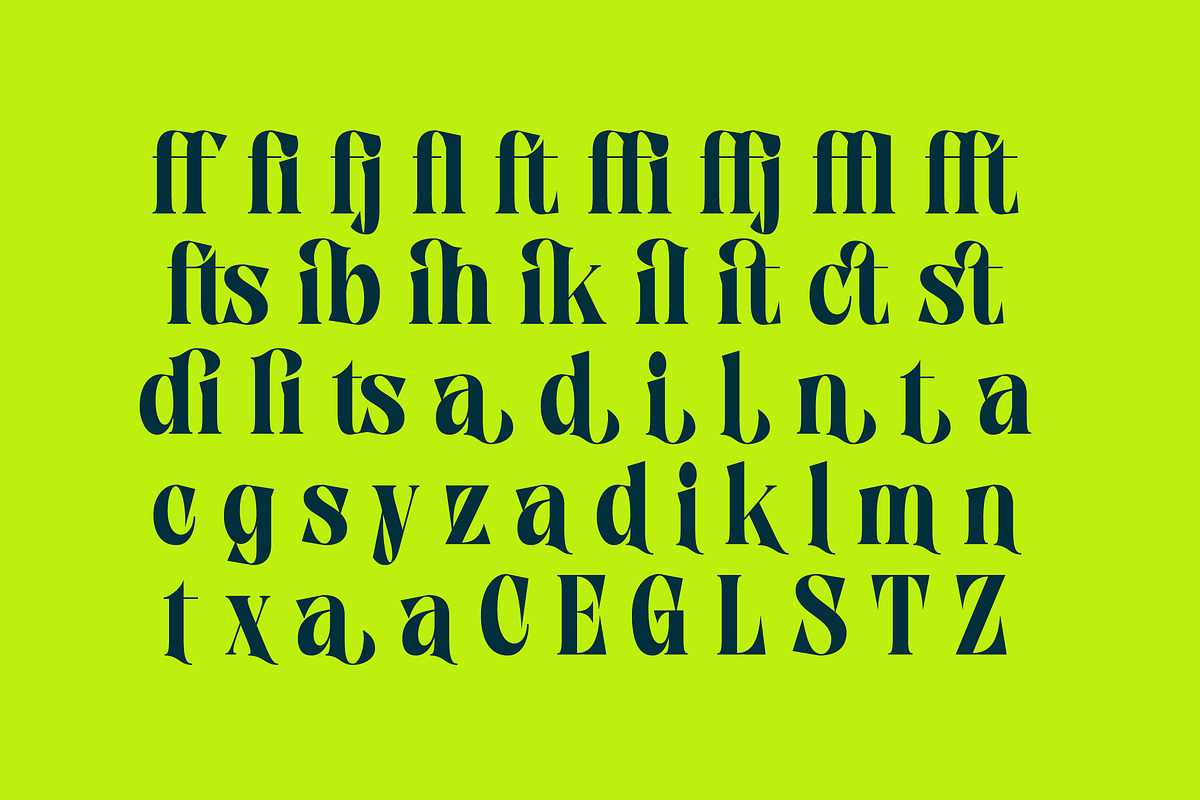 Zefta Bold Tall Modern Serif Font, a Serif Font by timelesstype.co (Photo 14 of 20)
