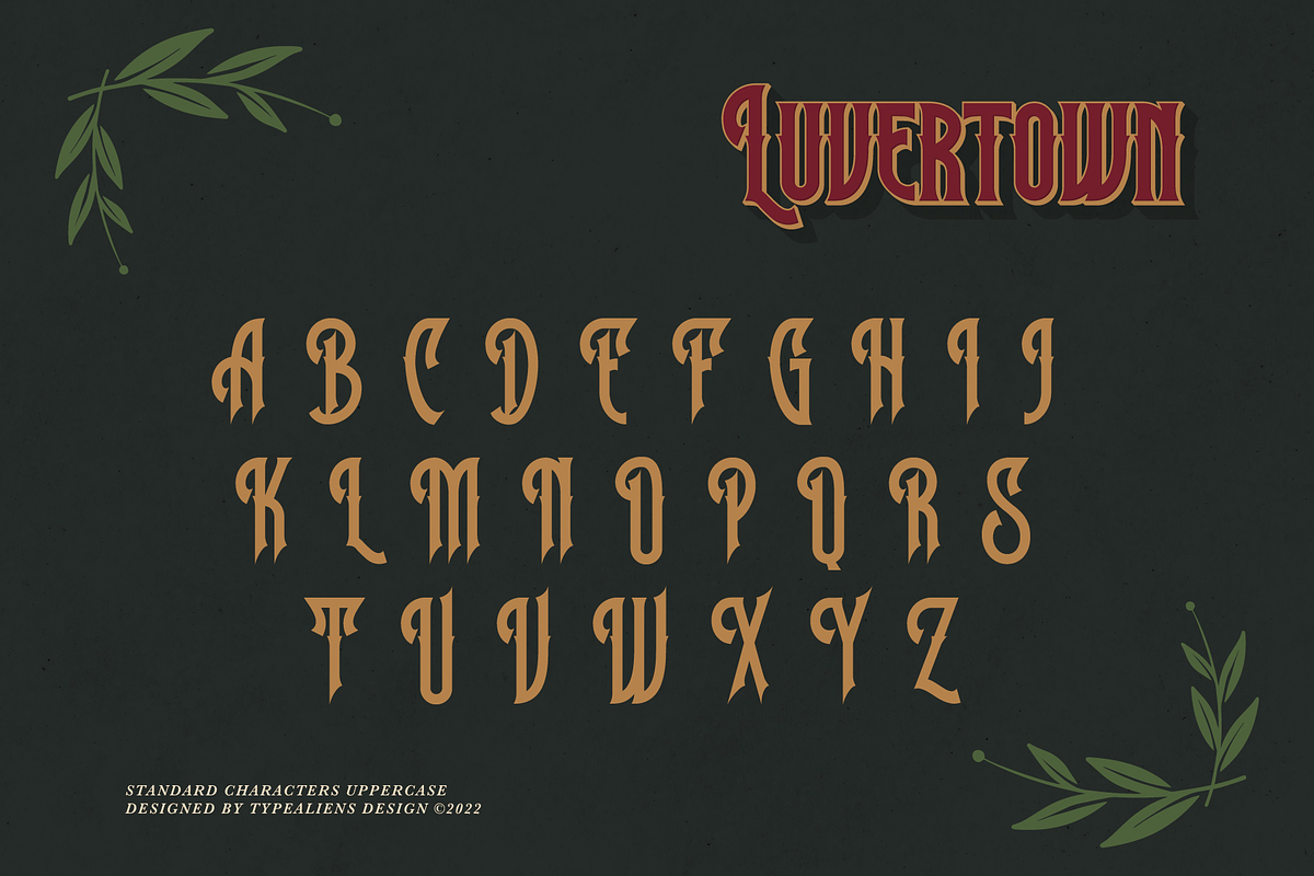 Luvertown, a Serif Font by ilhamtaro (Photo 6 of 11)