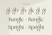 Original - Classy Branding Font, a Serif Font by Sensatype (Thumbnail 9 of 19)