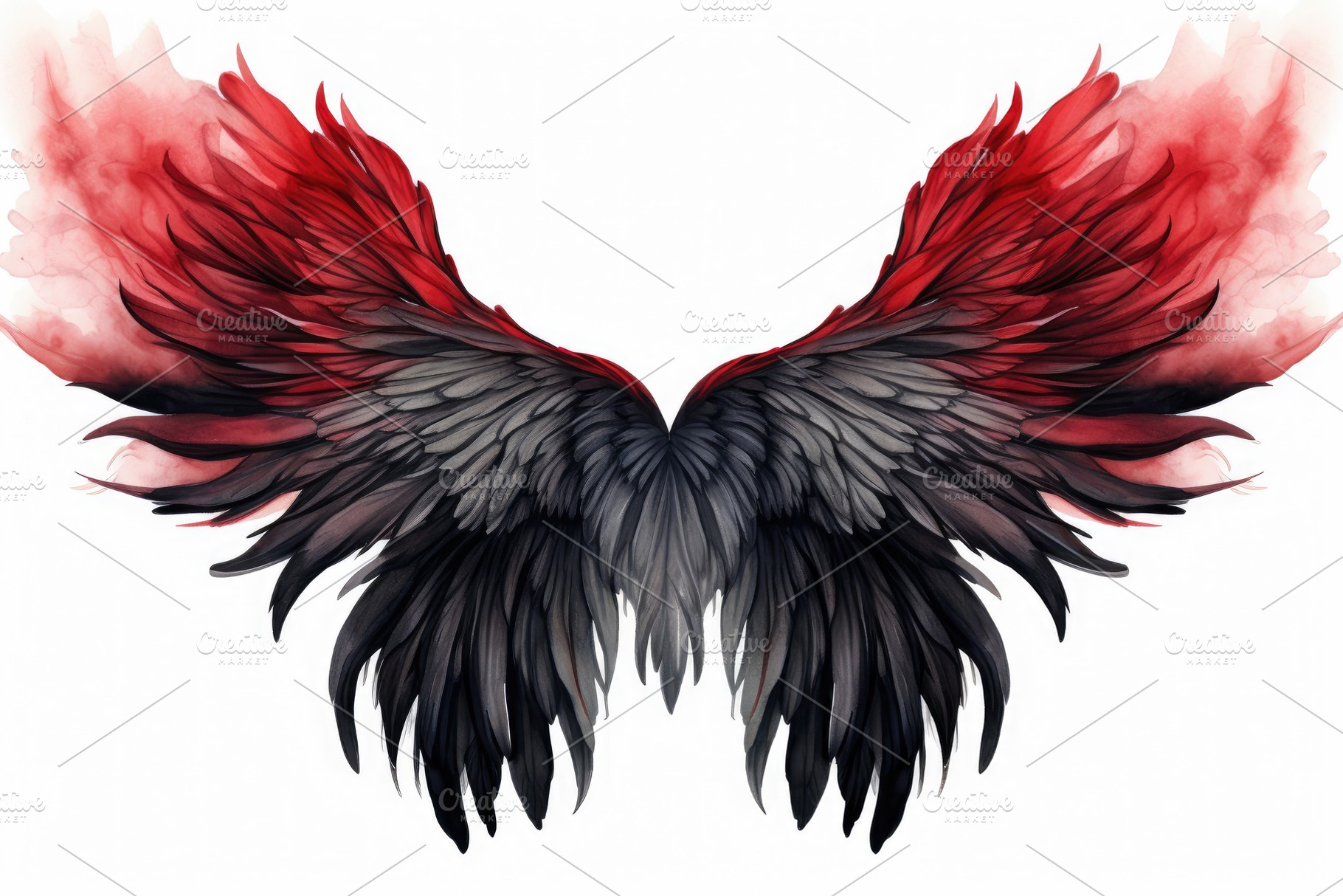 Red and black wings of an eagle isol, a Photo by Iftikhar Alam