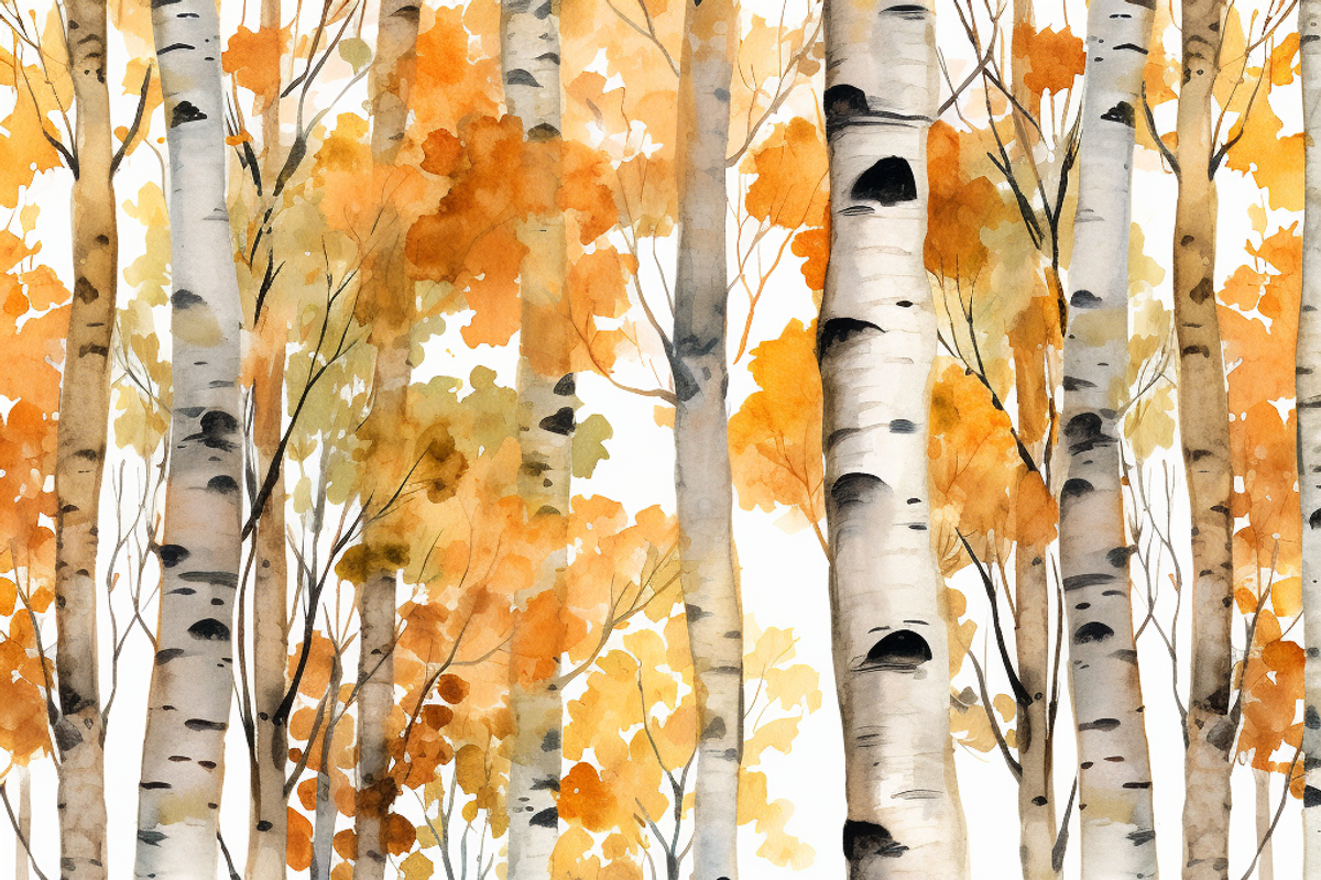 Watercolor Autumn Birch Trees Forest, an Object Graphic by Printable Treasure (Photo 5 of 9)