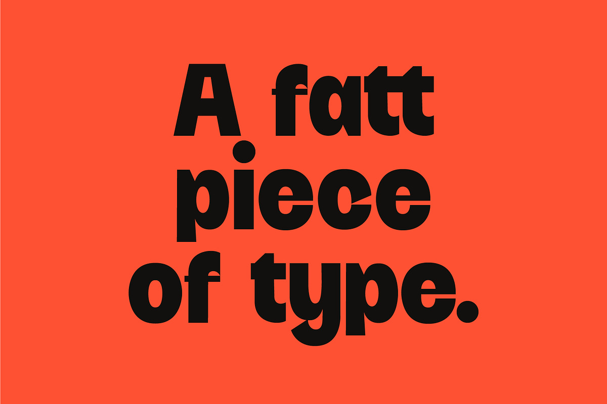 Trileqe - Fat Type, a Sans Serif Font by Kulturë Type (Photo 2 of 8)