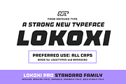 Lokoxi Pro - Standard Family, a Sans Serif Font by Anfound Type (Thumbnail 1 of 16)