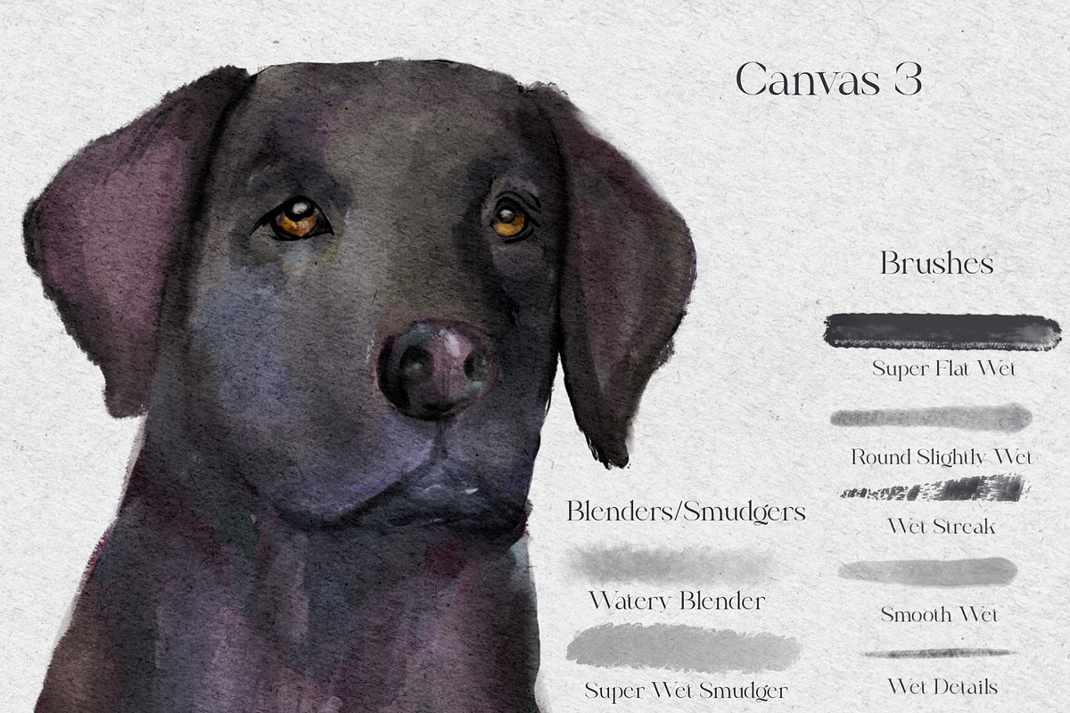 Acquarello Wet Procreate Brushes, a Brush Add-On by KJP Designs (Photo 9 of 10)