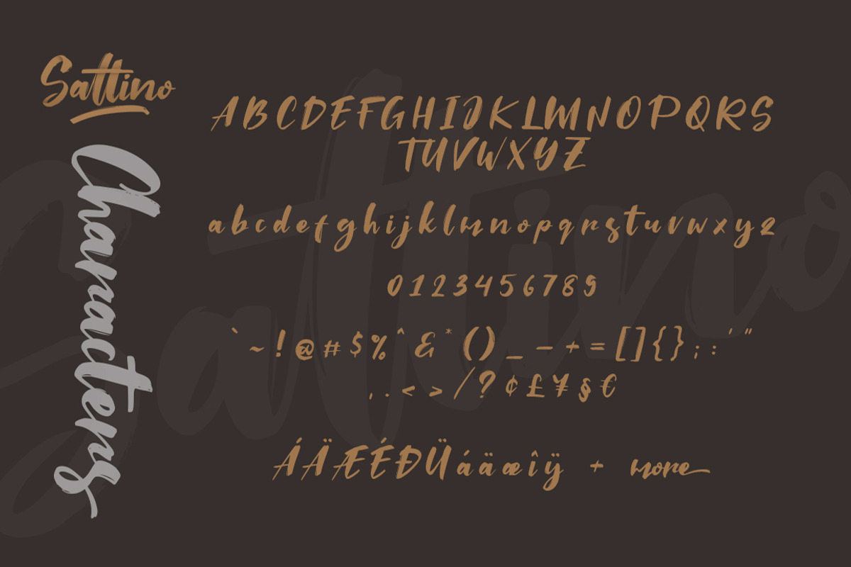 Saltino Script preview 7