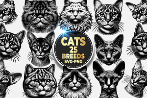 Cat Breeds SVG & PNG Bundle, an Illustration by M9 Design