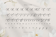 Willsyard | Modern Calligraphy, a Script Font by Denustudios (Thumbnail 12 of 12)