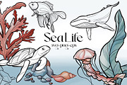 Sea Life. Line art and color, an Animal Illustration by DamriNa art (Thumbnail 1 of 10)