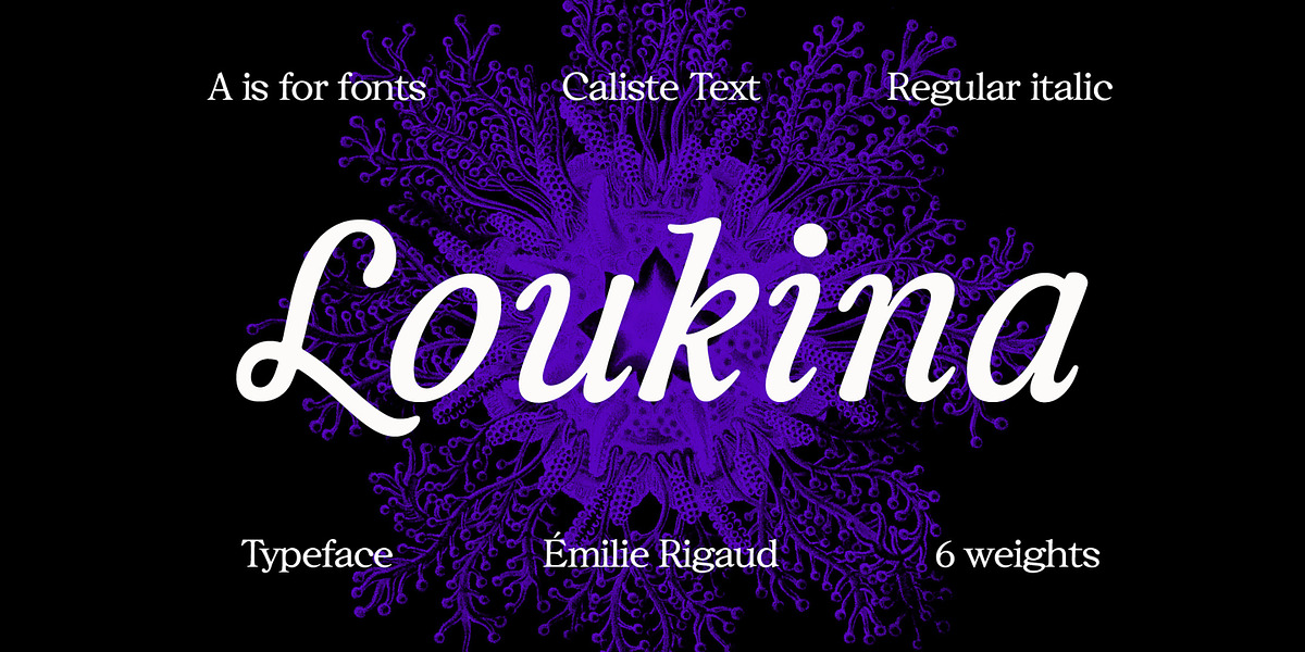 Caliste Display, a Serif Font by A is for... (Photo 7 of 10)