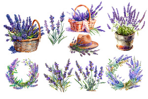 Lavender Watercolor Clipart