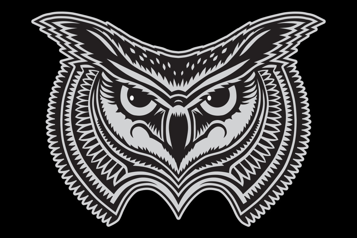 Owl, an Animal Illustration by Bakhtiozin art graphic (Photo 2 of 4)
