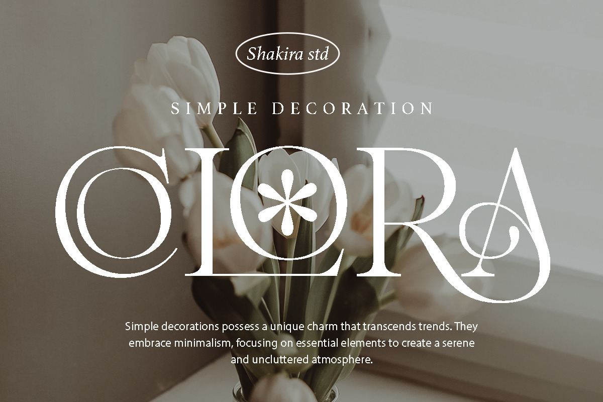 Splendor Escape - Elegant Serif, a Serif Font by Shakira Studio (Photo 2 of 12)