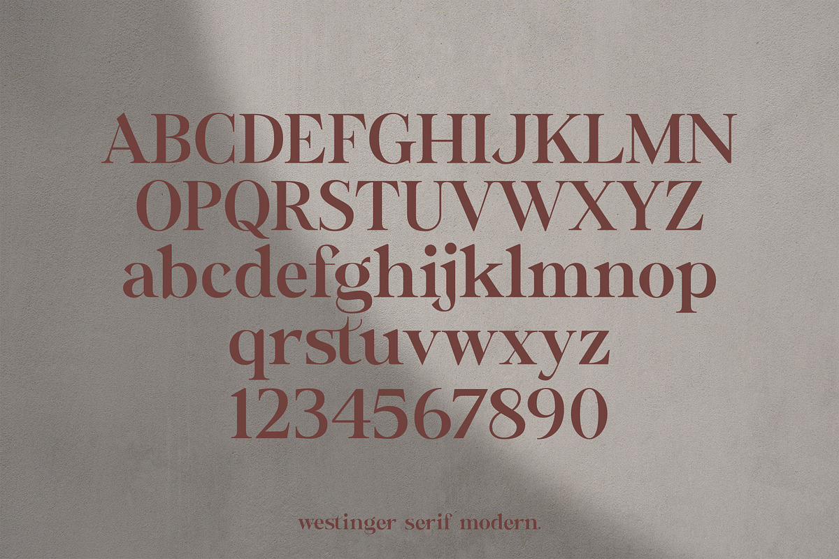 Wastinger Elegant Display, a Serif Font by Typetemp Studio (Photo 15 of 16)