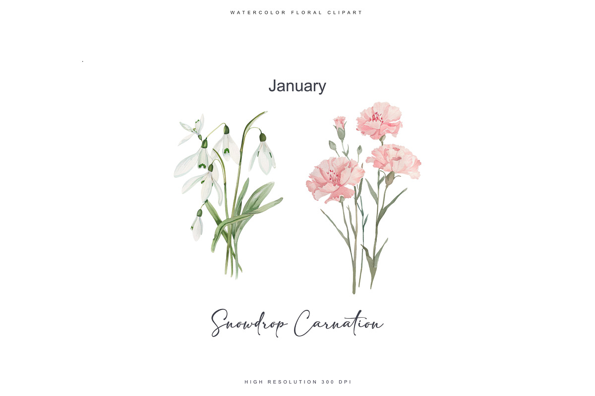 watercolor birth flowers collection, a Decorative Illustration by Patishop Art (Photo 2 of 9)
