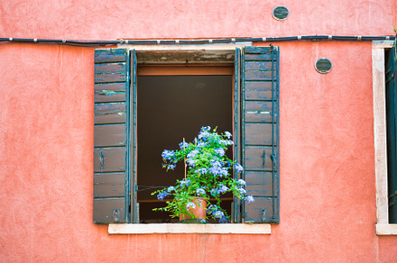 Windows with flowers in old house containing window, venice, and house, an Architecture Photo by Vapi
