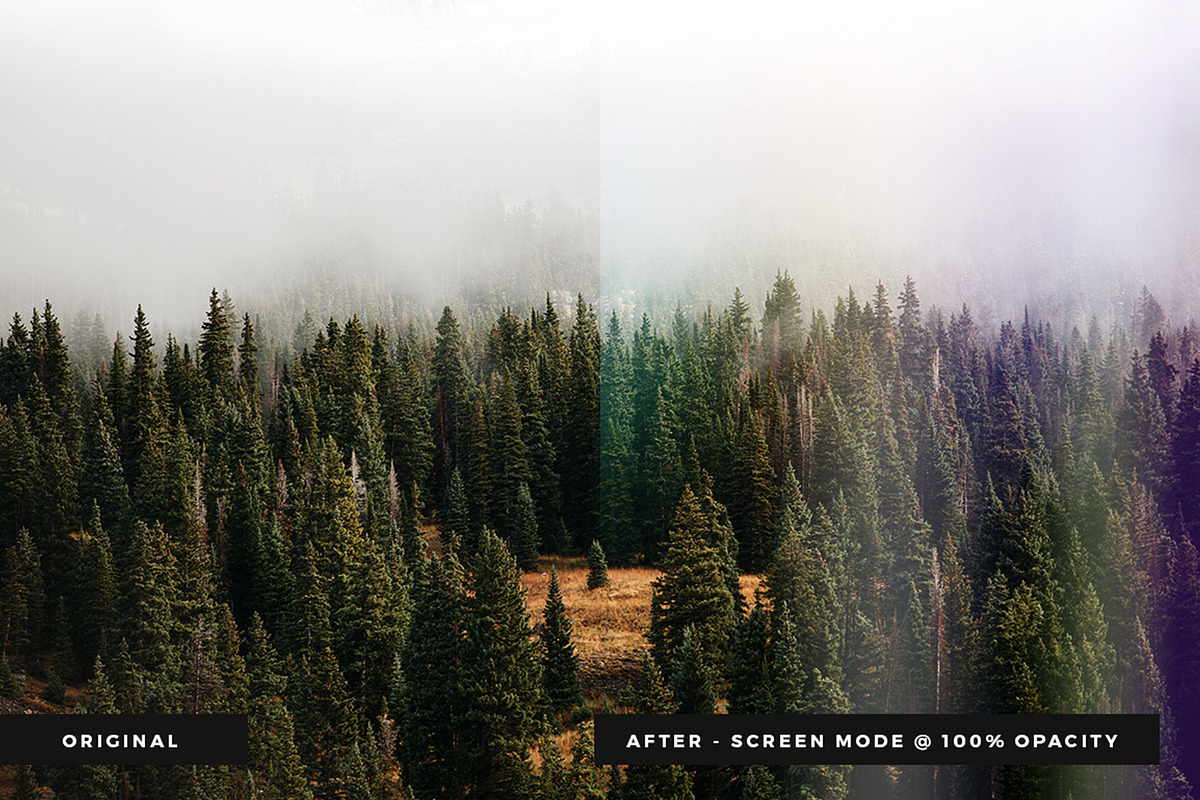 Vintage Light Leak Bundle, a Texture Graphic by Feather & Sage Design (Photo 10 of 15)