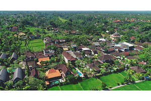 Lush green rice paddies and houses