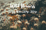 Wild Flowers II, a Templates & Theme by ApertureVintage (Thumbnail 5 of 14)