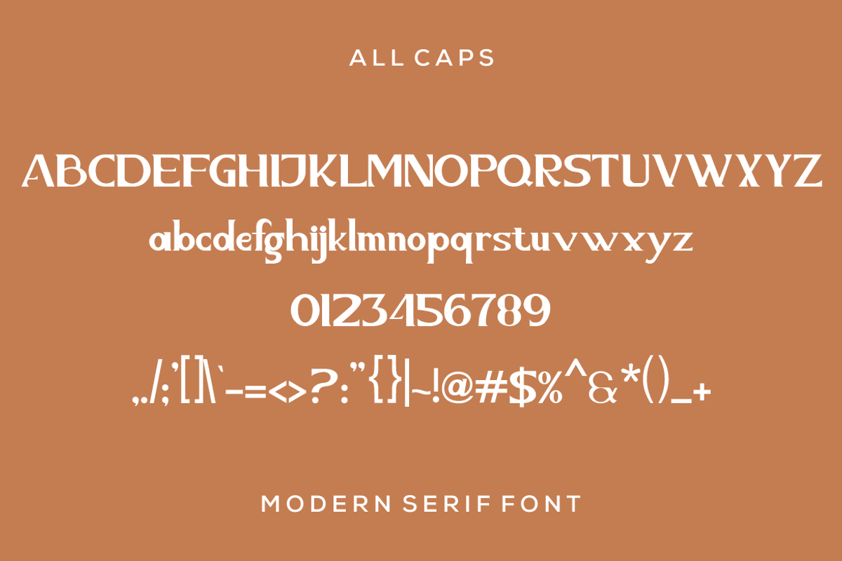 Bopak modern sans serif font, a Sans Serif Font by alanwarstd (Photo 5 of 5)