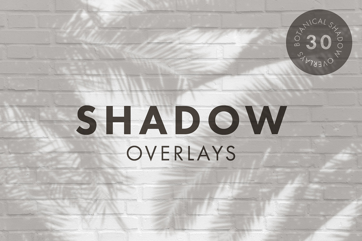 30 Botanical Shadow Overlays, a Mockup by Megs Lang (Photo 1 of 8)