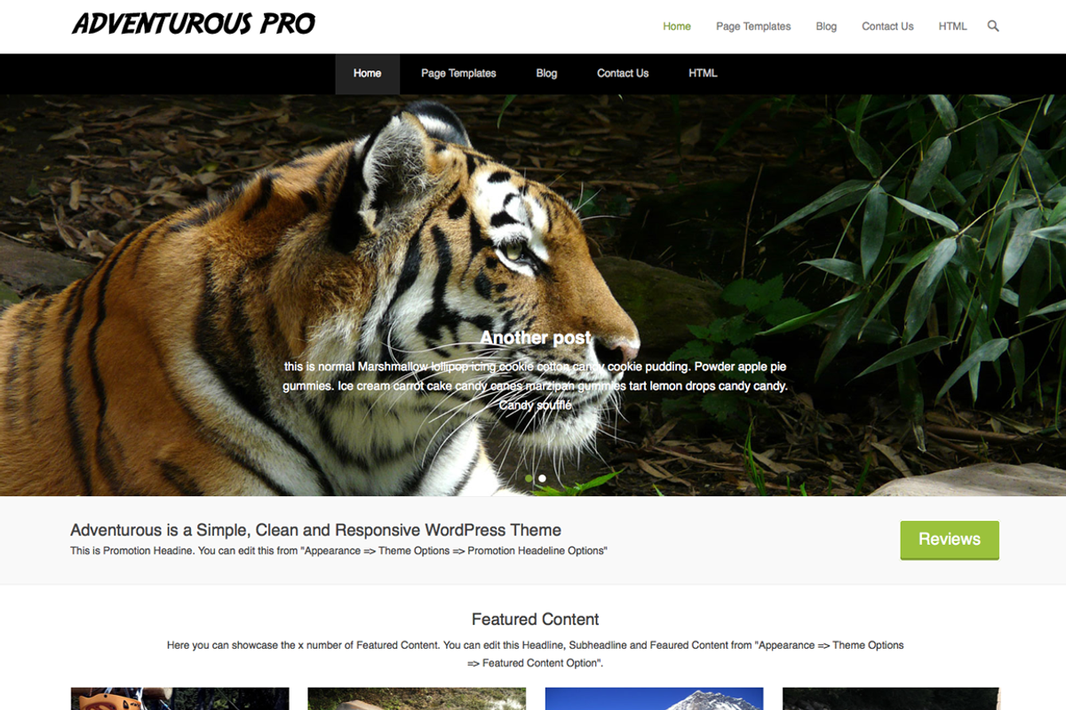 Adventurous Pro, a WordPress Template by Catch Themes (Photo 1 of 2)