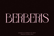 BERBERIS - Display Unique Serif, a Serif Font by Misha Sova (Thumbnail 1 of 14)