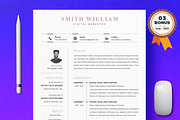 Resume/CV Bundle | 200+ for $29, a Resume Template by ResumeInventor (Thumbnail 184 of 207)