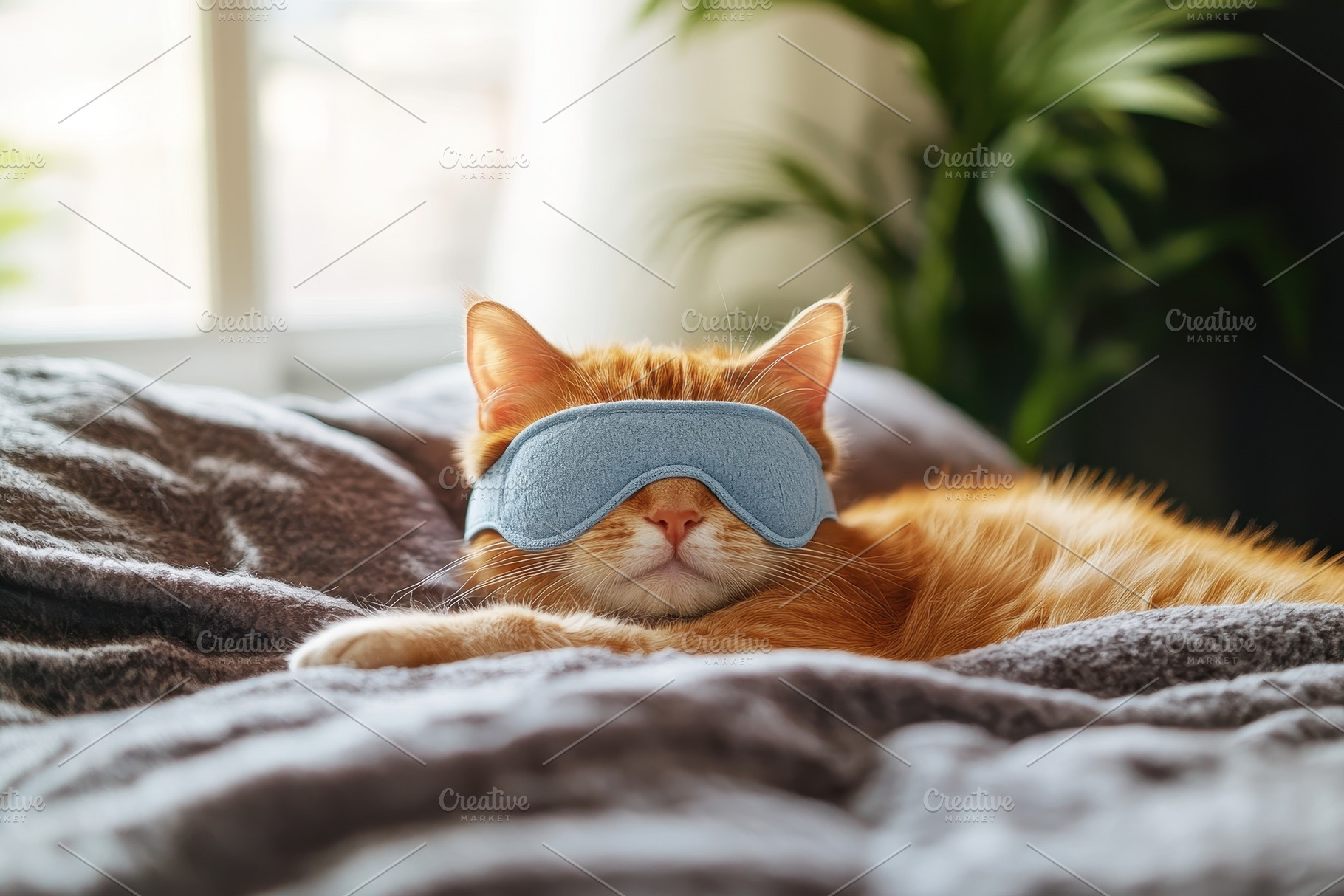 Cat enjoys a cozy nap in a sleep, a Photo by Pavel_design