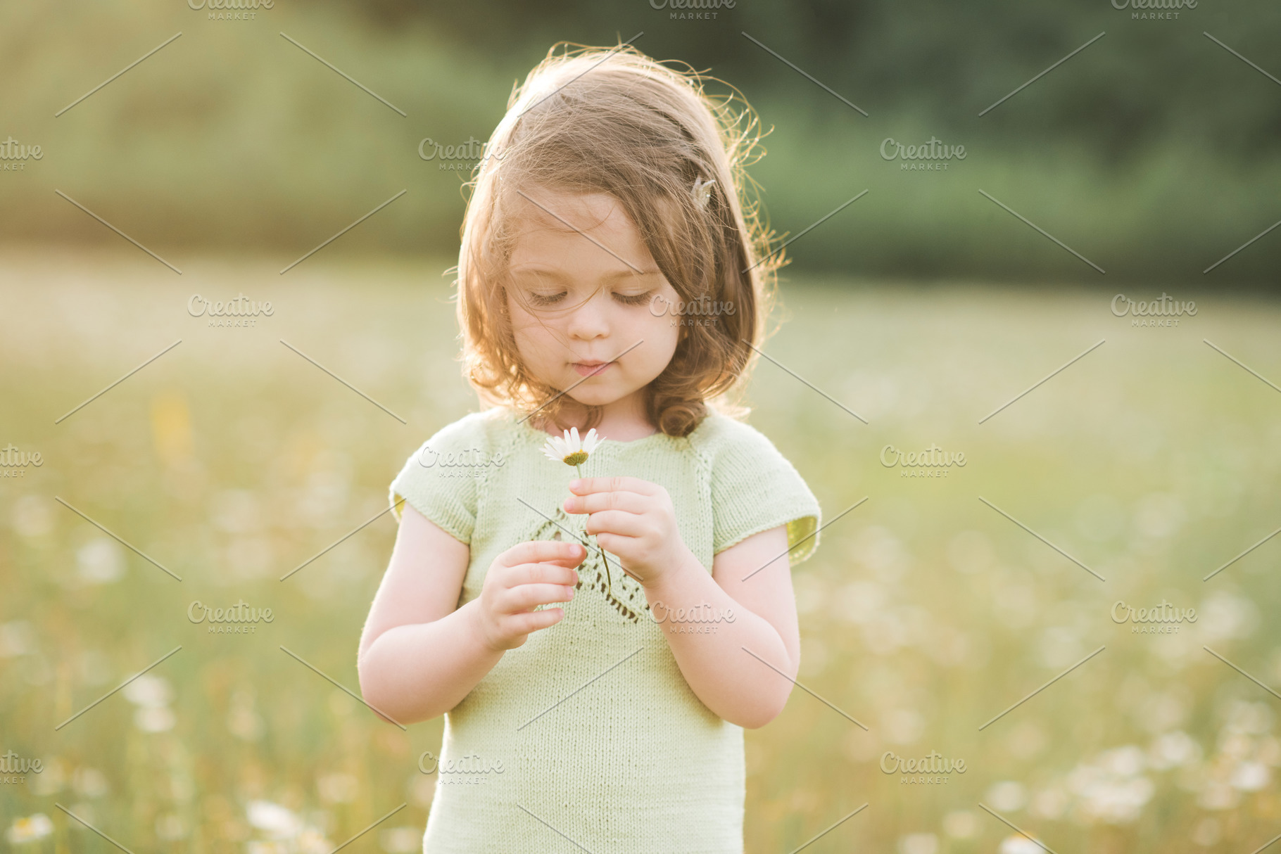 Cute kid girl in meadow, a Person Photo by morrowlight