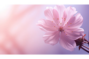 petal blossom flower background ai, a Nature Photo by pikepicture